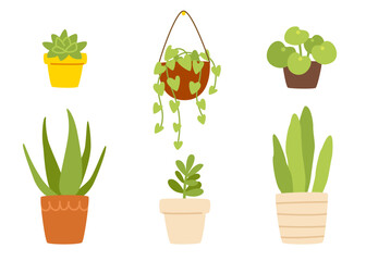 Set of isolated plants in the pots. Cozy domestic plants collection.