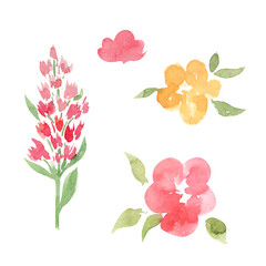 Abstract flowers watercolor illustration set. Hand drawn watercolor meadow flowers on white background. Florals for invitation or greeting card..