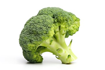 Broccoli isolated on white background