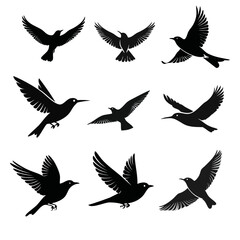 set of silhouettes of birds vector icon design