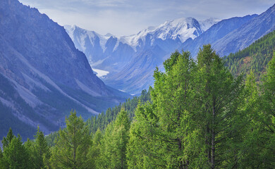 Obraz premium Mountain scenery, greenery and snow on the peaks, summer traveling 