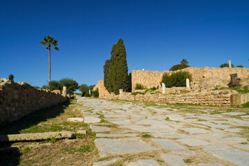 Il complesso archeologico con i resti dell'antica città punica di Cartagine. TUNISIA, Area...