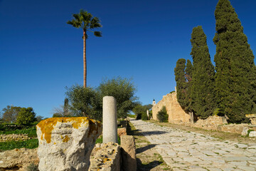 Il complesso archeologico con i resti dell'antica città punica di Cartagine. TUNISIA, Area...