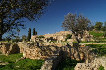 Il complesso archeologico con i resti dell'antica città punica di Cartagine. TUNISIA, Area...