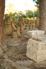 Il complesso archeologico con i resti del Santuario punico del Tophet Salammbo dell'antica...