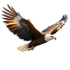 Obraz premium Majestic bald eagle soars gracefully against a pure white backdrop