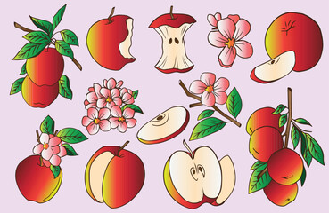 red apples packaging design templates with leaves flowers and slice of apple half eaten apple and  realistic style vector illustration set on light pink background