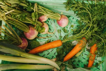 Fresh vegetables at small local urban market. Organic produce on sale at outdoor farmer market. Selling fresh crops and veggies harvest. European urban setting. Close up. Part of the series.