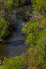 Lush greenery lining a tranquil river flows gently through a serene landscape on a sunny day