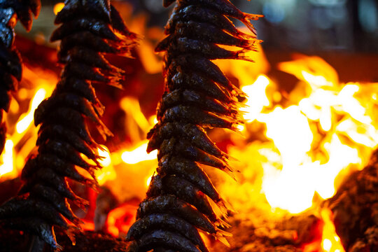 sardines and fish on the fire pierced with a sword, typical of Malaga, they are called espetos