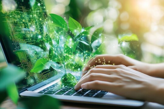 Close-up of hands typing on a laptop computer and digital tablet, searching and surfing the Internet on an office desk, for online work, remote work, and freelance work in the workplace.
