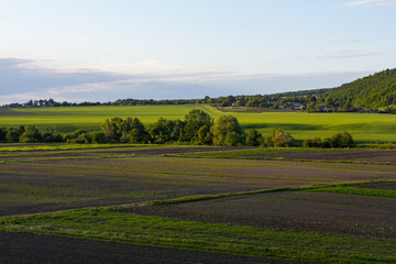 Green fields stretch across the landscape under a clear sky during sunset in a rural area