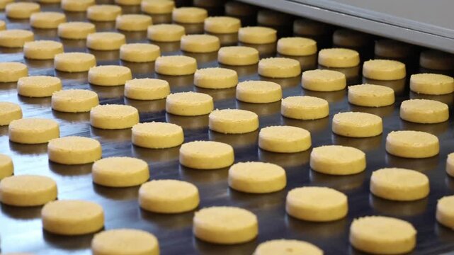 cookie production at a confectionery factory