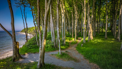 Fototapeta premium Strand Nonnevitz - Insel Rügen