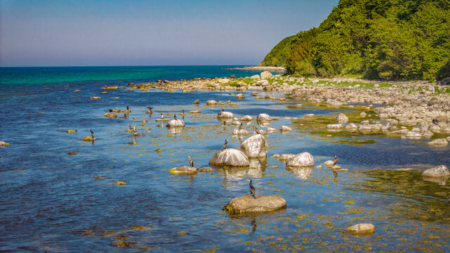 Strand Nonnevitz - Insel R&uuml;gen