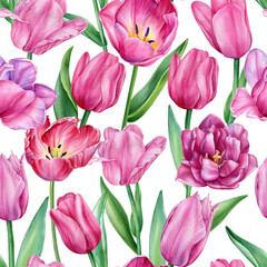 Obraz premium Hand painted tulips, watercolor floral pattern with vibrant spring flowers, botanical design fabric wrapping paper decor