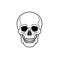 Fototapeta premium skull line art isolated on white background 