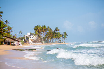 A tropical beach with palm trees, located in Sri Lanka.