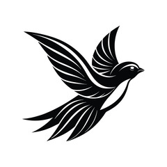 Obraz premium silhouette of dove