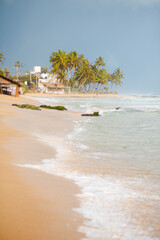 A tropical beach with palm trees, located in Sri Lanka.