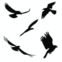 Obraz premium set of silhouettes of birds