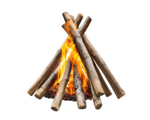 survival style campfire made with dry sticks and twigs, radiating warmth and light, perfect for outdoor adventures and gatherings