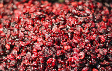 dried blueberries to preserve them better during the cold seasons