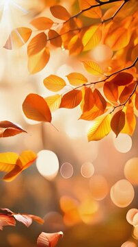 Vertical sunny autumnal background. Red beech branches in front of atmospheric blur in shades of yellow, orange, gold and brown. Some leaves float gently through the air.