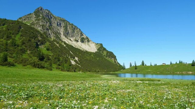 Experience the beauty of a mountain lake with fresh greenery, clear water, and the peaceful serenity of nature, perfect for relaxation and unwinding in the fresh air.