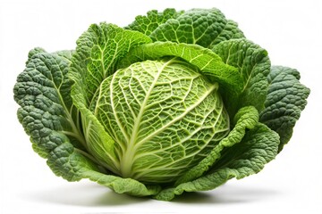 green cabbage with leaves on white background