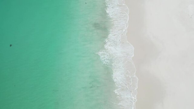Wilsons Prom Turquoise Beach Little Waterloo Bay VIC Australia