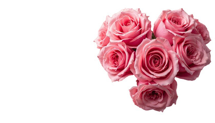 Obraz premium A pink rose with petals on a coordinating transparent background, reflecting the essence of love for mothers and women