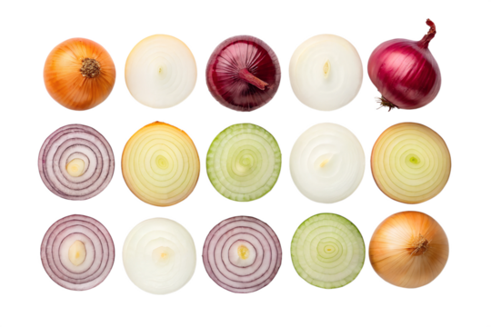 onion arranged in a grid on a white background.png