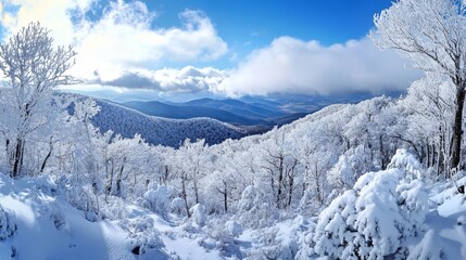 Winter landscape featuring snow-covered mountains and trees in a bright blue sky