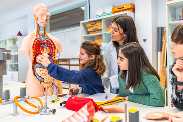 Students studying human anatomy with anatomical model in biology class