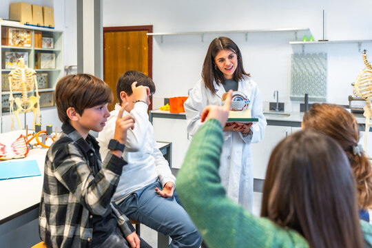 Teacher showing anatomical model of eye to students in biology class