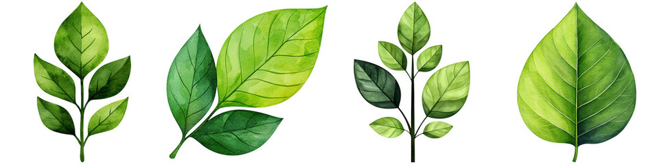 Obraz premium Manifest vision and watercolor, A collection of various green leaves showcasing different shapes and textures.