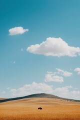 Obraz premium Car drives across golden field on a bright, sunny day for travel promotion