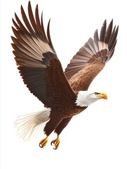 Fototapeta premium A large eagle is flying in the air with its wings spread wide