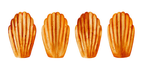 Watercolor Illustration of French Madeleines – Traditional Baked Pastry Clip Art Collection
