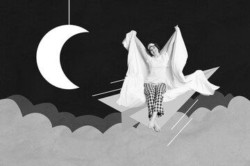 Photo sketch graphics collage artwork picture of carefree charming lady flying plane rising blanket...