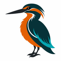 black crowned night heron