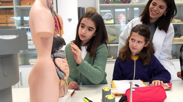 Young female students learning human body parts with anatomical model and teacher assisting them in biology class