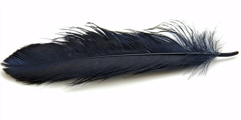 Obraz premium A single, black feather rests on a pristine white background.