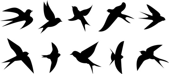 Swallow bird  silhouettes vector illustration set