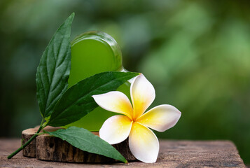 Glycerin soap mixed with Clinacanthus nutans (Burm.f.) Lindau branch green leaves extract on...