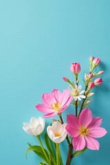 Delicate pink & white blooms, vibrant blue backdrop Springtime floral arrangement , bloom, joyful, cheerful