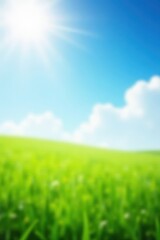 Blurred sunlit spring meadow, sky to grass gradient, blossom, pastoral, scenery