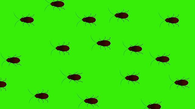 animated video of cockroaches, screen full of cockroaches
