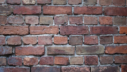 The photo shows a close-up of a brick wall